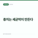 슬기로운군산치과의원 | 충치는 세균 한 마리가 아니라 세균 덩어리가 만든다, 바이오필름 이야기