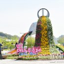 담양관광정보센터 이미지