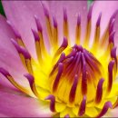 찬연농장 이미지