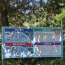 성주 별고을길 3코스 | 경북 성주 물가애 캠핑장 방문후기-계곡 감성 제대로 느끼고 온 힐링 캠핑장
