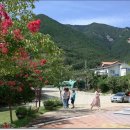 일구목장 이미지