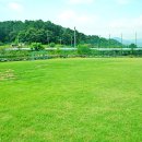 천연잔디구장 이미지