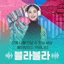 메타보이스