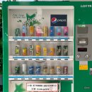 피에스타 PC(광주장지점) | [운전면허•2종보통] 도로주행 시험 합격 후기, 성남자동차운전전문학원
