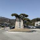 나오라쇼 공연장 이미지