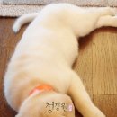 오광농장 이미지