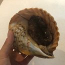 대복막썰이