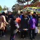 오곡백과장터