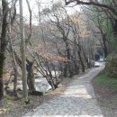 곡성-165 이미지