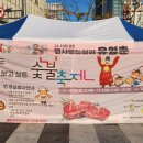 이마트24천안성거로드점 | 196th 도심속 캠핑 (세종 한우 숯불축제) 후기