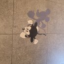 한아름마트하양점 | 9월 셋째주 주간일기