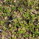 임실향교대성전 이미지