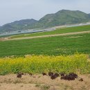 오늘보다더좋은 네이버블로그
