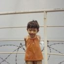 나소NASO