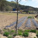 대전축사 이미지