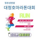 두산2리 | 청원생명쌀 대청호 마라톤 준비 나혼자산다 기안84 마라톤출전