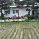 일호농장 이미지