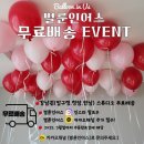 인어스 협동조합 | [W.29] 웨딩 촬영용 커스텀 풍선 벌룬인어스 계약 및 촬영 후기 in 무이스튜디오 남산점