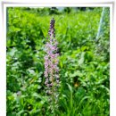 계절별미 이미지