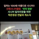 진해시니어클럽 이미지