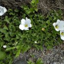 둥지민박민박 이미지