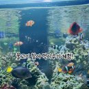 베이컨가평 네이버블로그