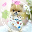 멍풀하우스 이미지