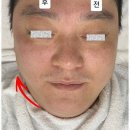 디또와 친구들 이미지