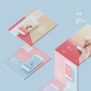 디디디자인 이미지