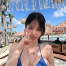 맥심