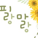 혜자농장 이미지