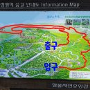 제주절물자연휴양림 이미지