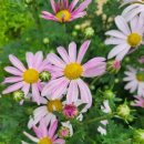 경안천누리길 이미지