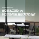 펠리체빈 이미지