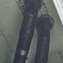 금신로 네이버블로그