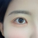 티나정 | (뷰티)[대구] 티나스타일대구대봉점 대구속눈썹펌(티나래쉬리프트) 후기! 자연스럽고 또렷한 눈매 완성