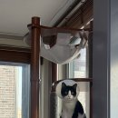 다나동물의료센터 이미지