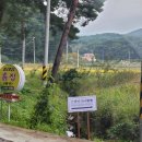 스테이 낙낙 이미지