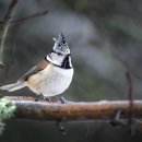 스페인어회화 이미지