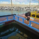 올레바당체험마을 | 제주 서쪽 가볼만한 곳 아이랑 낚시체험 올레바당체험마을