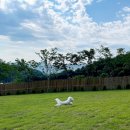 위드펜션 이미지