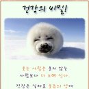 건강의비밀
