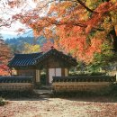 성지불교사 티스토리