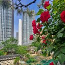 탑동 5층석탑 이미지