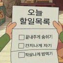 안나유