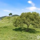 자연속의 휴식공간 이미지