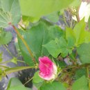 승주설비 | 남도 여행