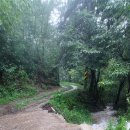 현동농장 이미지