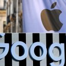 애플유통 이미지