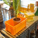 호호제주 이미지